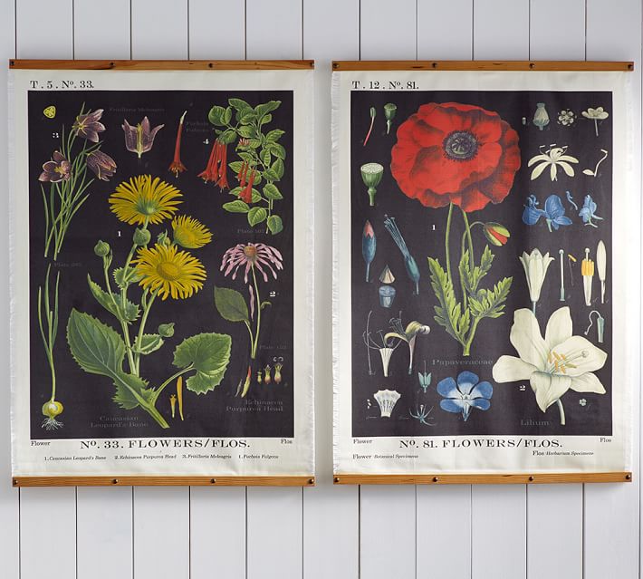 Botanical Printed Canvas Pottery Barn