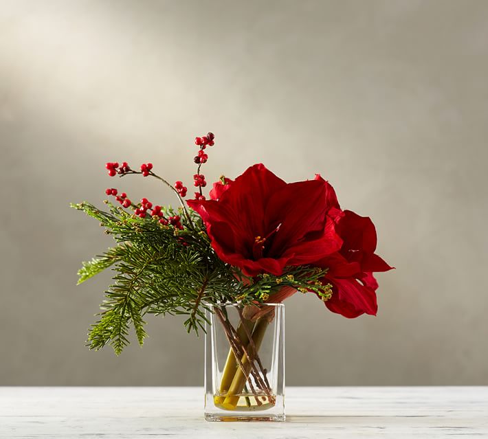 Faux Amaryllis Composed Arrangement Pottery Barn