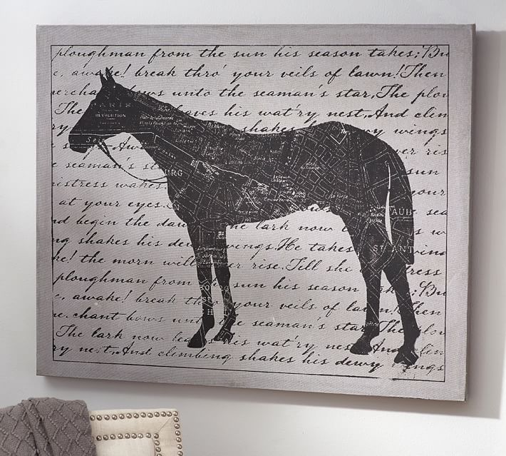 Horse Canvas Wall Art Pottery Barn