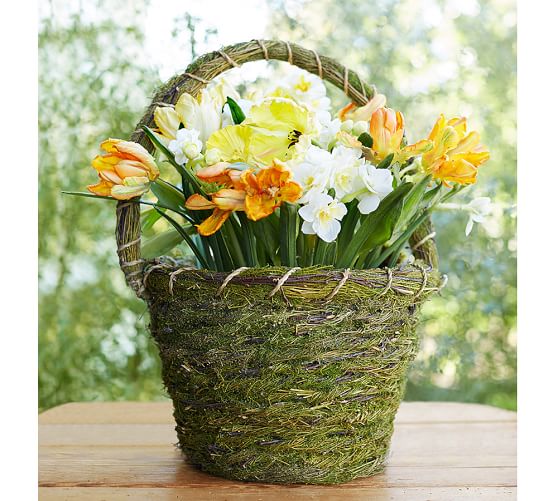 Green Moss Basket Pottery Barn