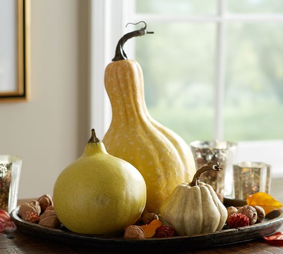 Faux Pumpkins and Gourds Pottery Barn