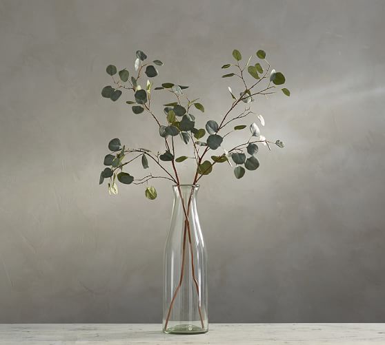 Faux Silver Dollar Eucalyptus Branch Pottery Barn