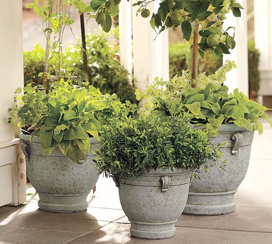 brittany planters pottery barn