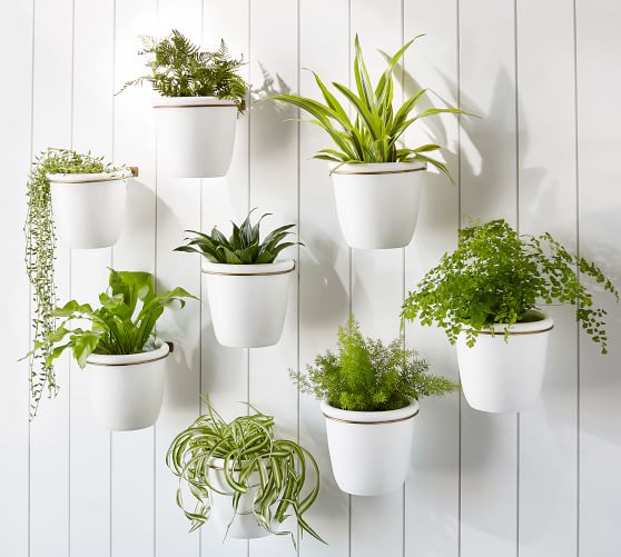 Athens Wall Planter White Pottery Barn Athens Wall Planter White