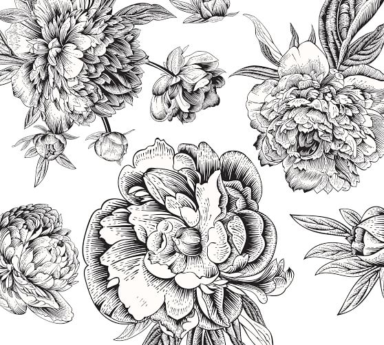 Black & White Flowers Wall Decal Pottery Barn