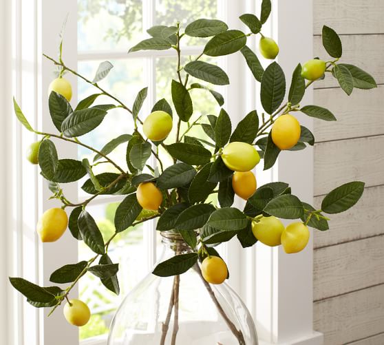 Faux Lemon Branch Pottery Barn
