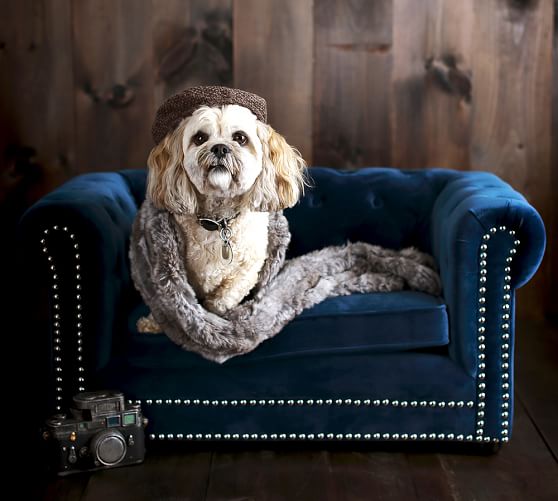Chesterfield Pet Bed Pottery Barn