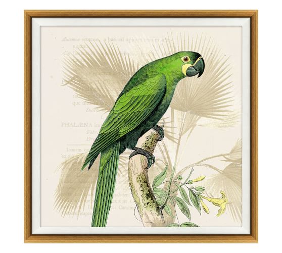 green parrots pottery barn