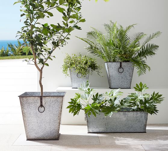 Galvanized Roland Planters Pottery Barn