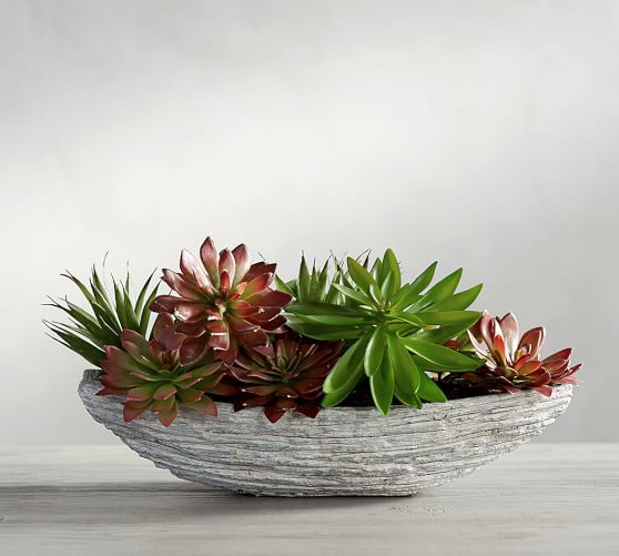 Faux Succulent Composed Arrangement Pottery Barn Faux Succulent Composed Arrangement