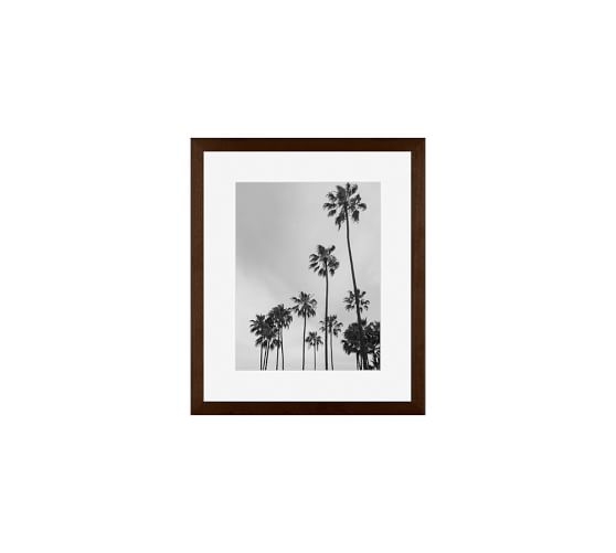 Los Angeles Palm Trees By Jane Wilder Pottery Barn