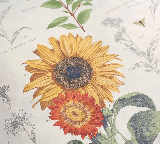 Cara Sunflower Print Duvet Cover & Sham Pottery Barn