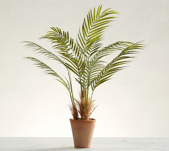 Faux Potted Areca Palm Tree Pottery Barn Faux Potted Areca Palm Tree