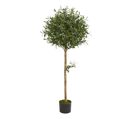 Faux Olive Topiary Tree Pottery Barn