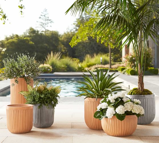 Concrete Fluted Planters Pottery Barn
