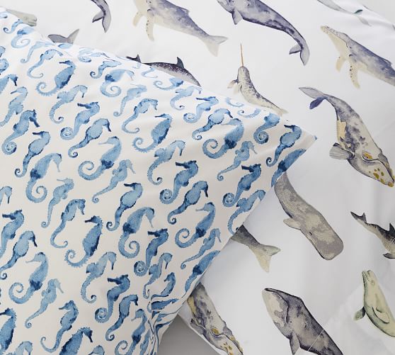 Sea Pod Organic Percale Sheet Set Pottery Barn
