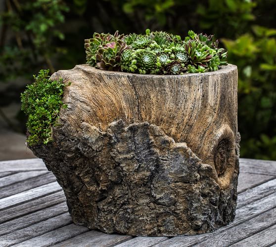 Tree Trunk Planter Collection Pottery Barn