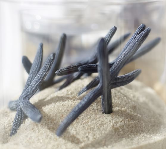 Faux Blue Starfish Vase Filler Pottery Barn