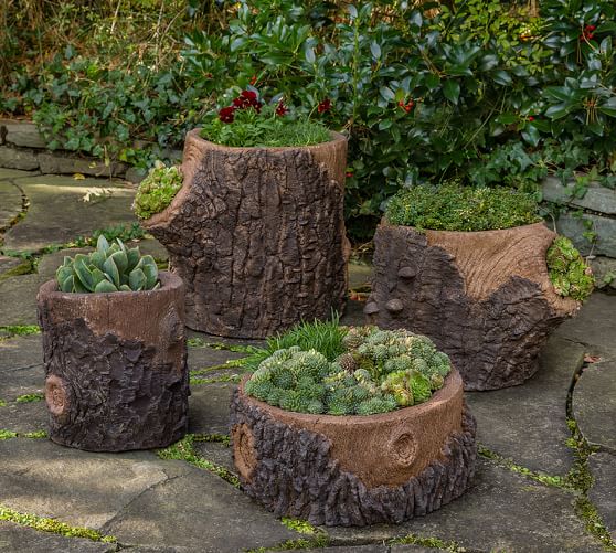 Tree Trunk Planter Collection Pottery Barn