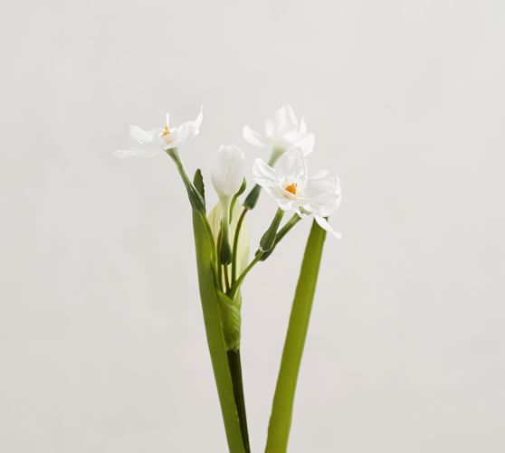 Faux Potted Paperwhites In Glass Vase Pottery Barn