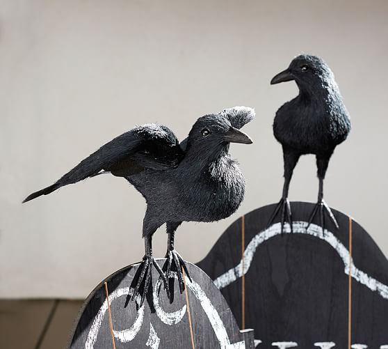 Faux Crows Pottery Barn