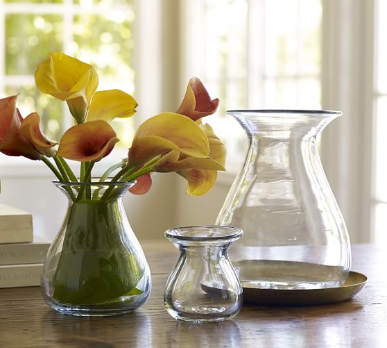 Recycled Glass Bell Jars Pottery Barn