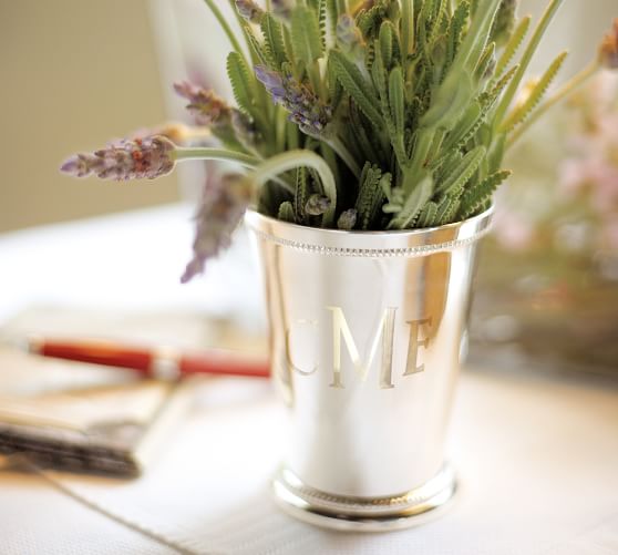 Silver Plated Julep Cup Pottery Barn