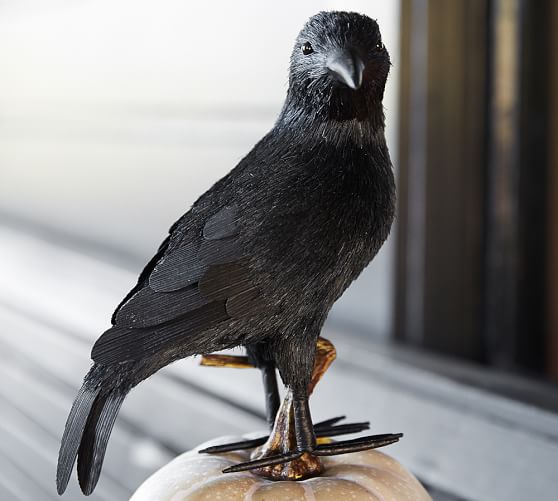 Faux Crows Pottery Barn