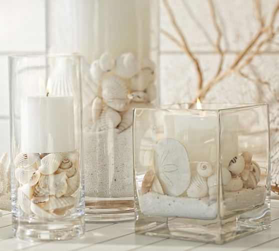 Beach Shell Vase Filler Pottery Barn