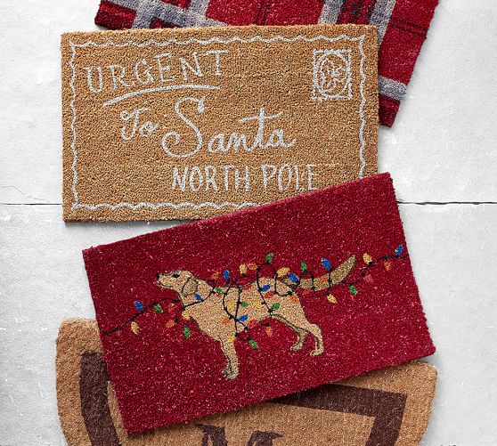Dog With Lights Doormat Pottery Barn