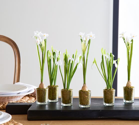 Faux Potted Paperwhites In Glass Vase Pottery Barn