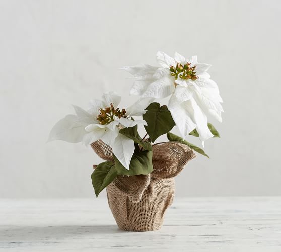 Faux Potted White Poinsettia Artificial Flowers Pottery Barn