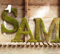 Decorative Letters For Mantle Pottery Barn