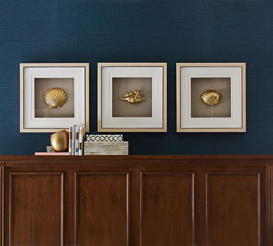 Gold Shell Shadow Boxes Set Of 3 Wall Decor Pottery Barn