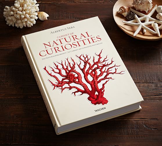 Cabinet Of Natural Curiosities By Albertus Seba Pottery Barn