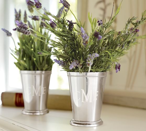 Silver Plated Julep Cup Pottery Barn