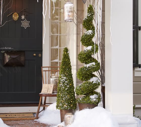 Indoor Outdoor Lit Led Boxwood Topiary Pottery Barn
