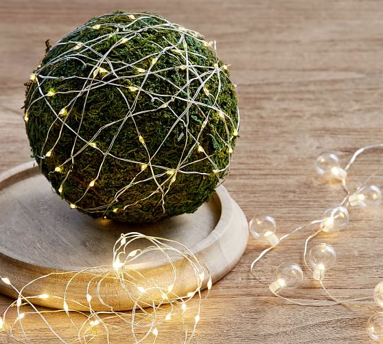Mixed Moss Twig Balls Set Of 3 Pottery Barn