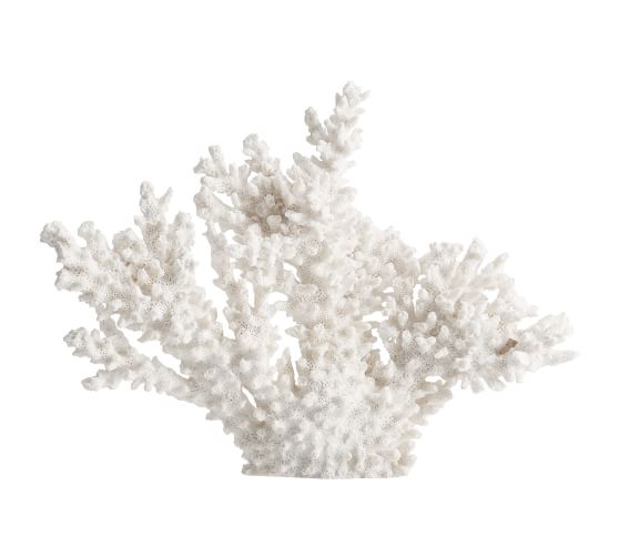 White Spike Coral Pottery Barn