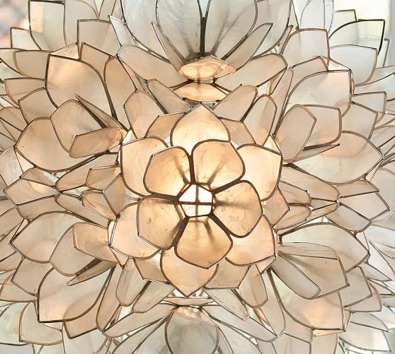 Capiz Pendant Pottery Barn