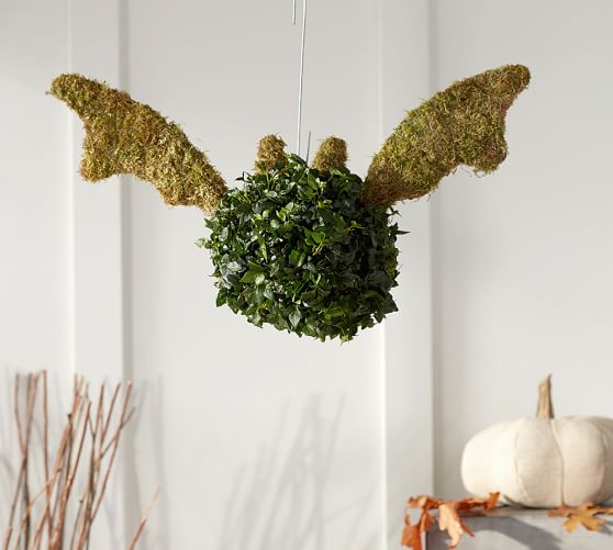 Live Bat Topiary Pottery Barn