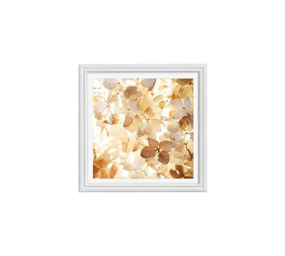 Wall Art Wall Decor, Paintings, Prints & Canvas Art Pottery Barn