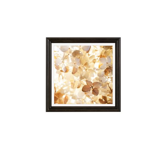 Wall Art Wall Decor, Paintings, Prints & Canvas Art Pottery Barn