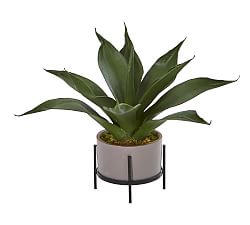Decorative Wall Sconces Plants Pottery Barn
