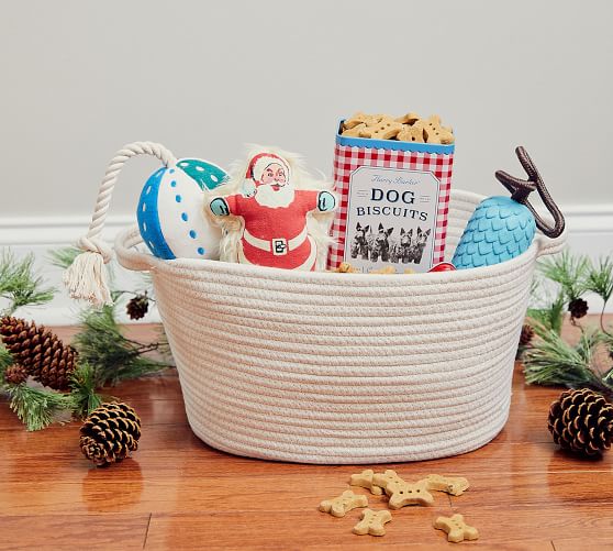 Harry Barker Santa Pet Bundle Pottery Barn