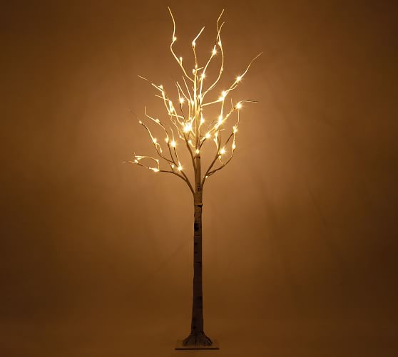 Faux Light Up Led Birch Trees Pottery Barn