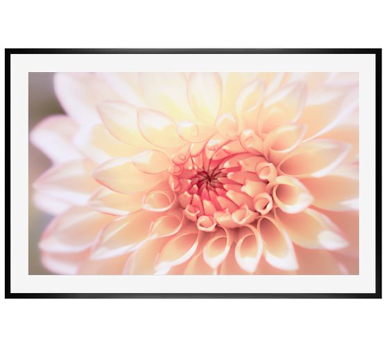 Ana Ramirez Photography Pottery Barn