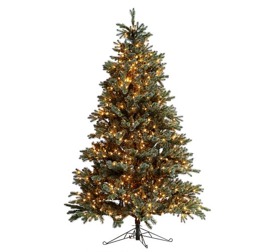 Lit Faux Blue Spruce Christmas Trees Pottery Barn