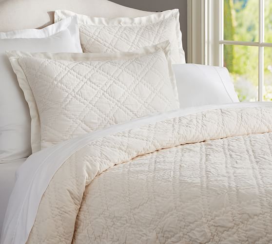 Washed Velvet Silk Blend Quilt Shams Ivory Pottery Barn