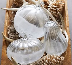 Clearance Holiday All Halloween Decor Pottery Barn